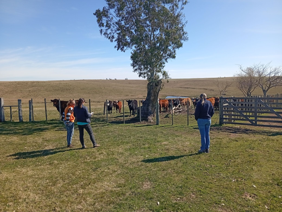 predio con proyecto Senda Agroecológica en Cerro Largo