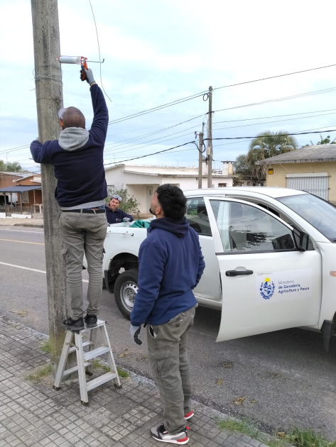 aplicando gel adherente sobre columnas