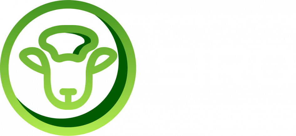 SIRO