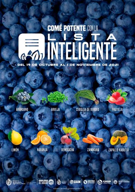 Imagen Inteligente 19 de Octubre Imagen Inteligente 19 de Octubre