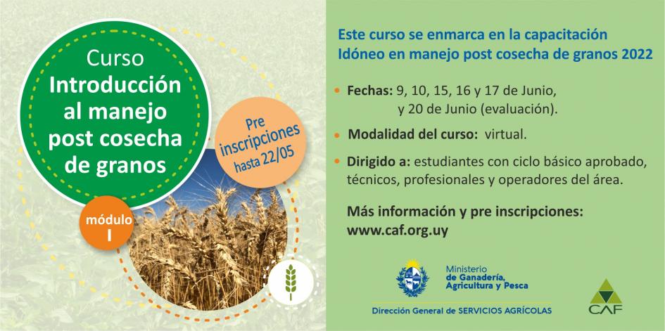 Curso Curso