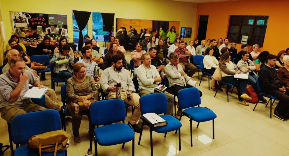 MDR Basalto Profundo MDR Basalto Profundo