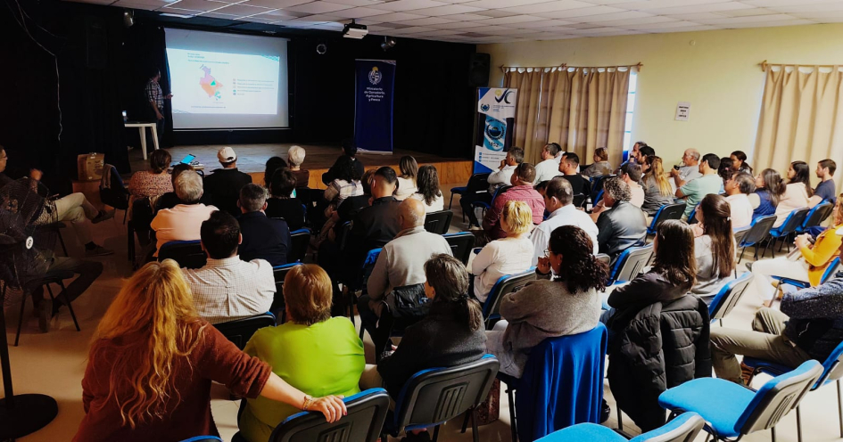 MDR Basalto Profundo MDR Basalto Profundo