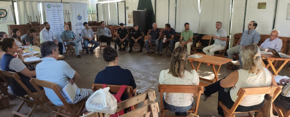 Mesa de Desarrollo Rural de Salto, Basalto Superficial