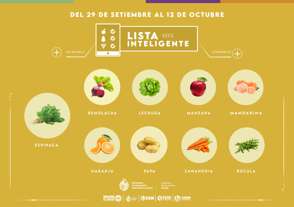 Lista inteligente | SET