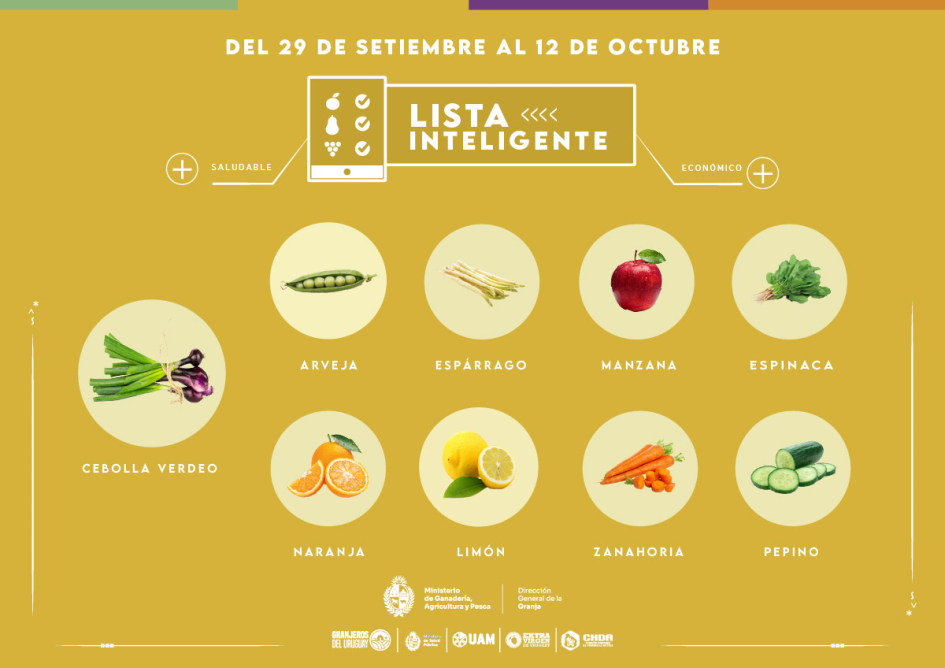 Lista inteligente | OCT