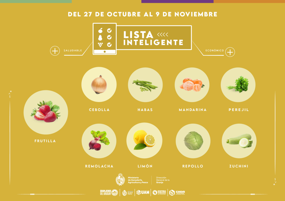 Lista inteligente | OCT Lista inteligente | OCT