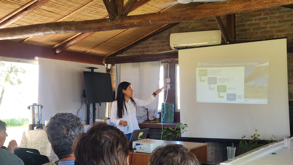 técnicos en jornada sobre silvopastoreo