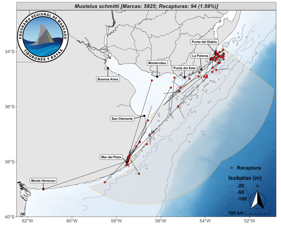 Investigación de aves marinas