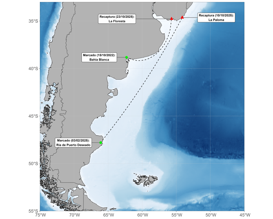 Mapa recaptura Mapa recaptura