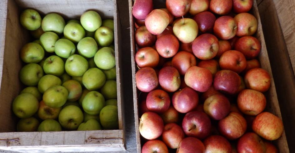 manzanas manzanas