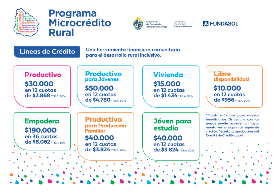 flyer líneas PMR