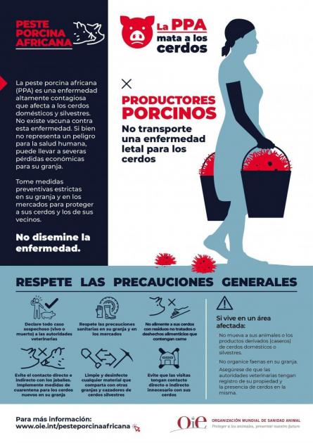 Medias de prevención Medias de prevención