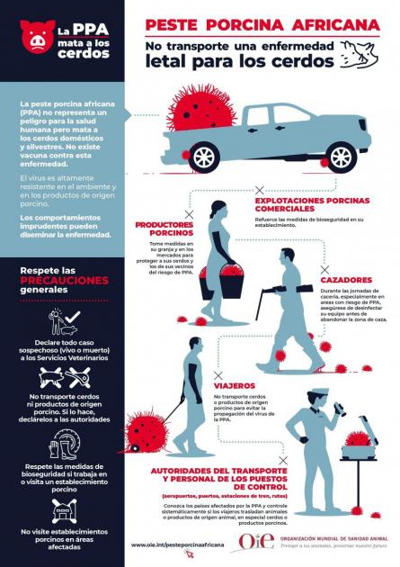 Medias de prevención Medias de prevención