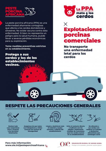 Medias de prevención