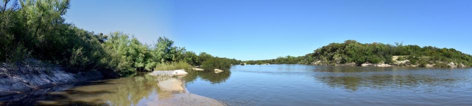 Bosque nativo al margen del río Negro