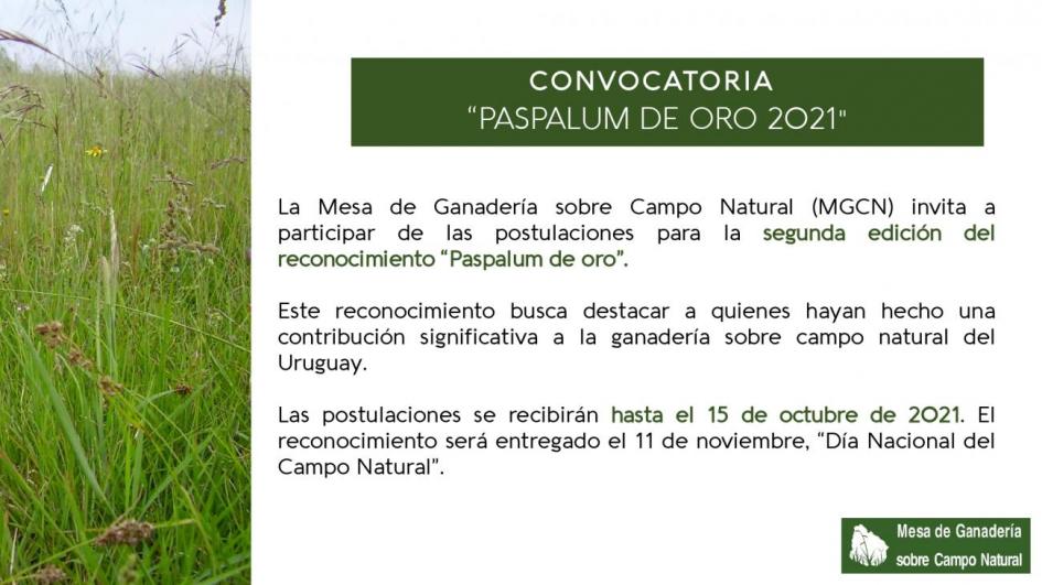 Paspalum de Oro 2021 Paspalum de oro 2021