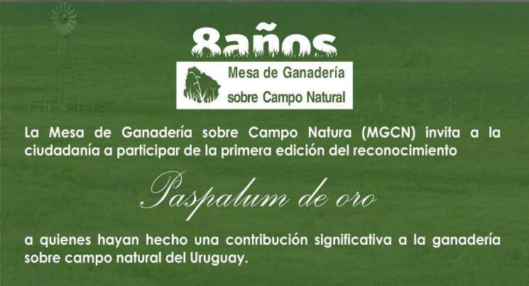 Paspalum de oro Paspalum de oro
