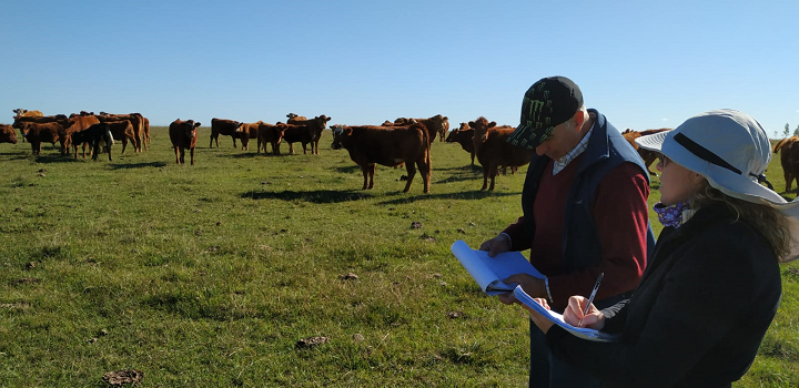 Productor y técnica en el campo, vacas y pasto de fondo