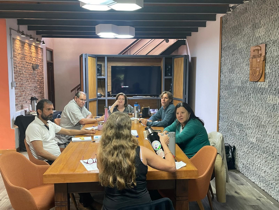 Reunión regional de la Unidad de Descentralización