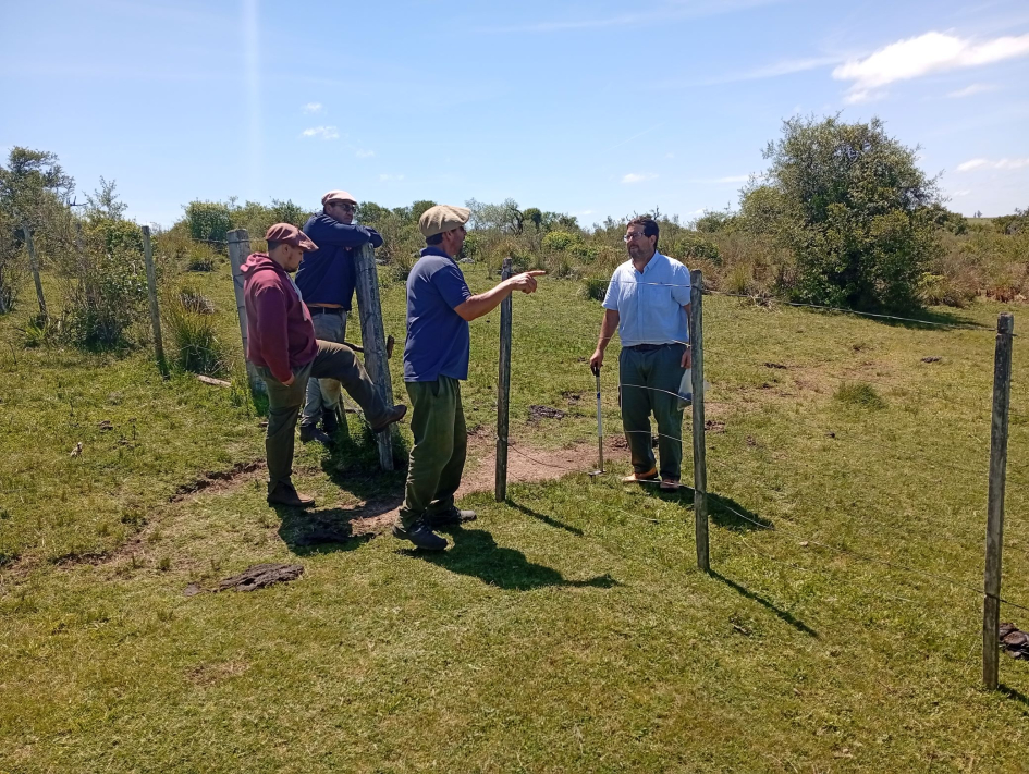 SAE control biológico de garrapata