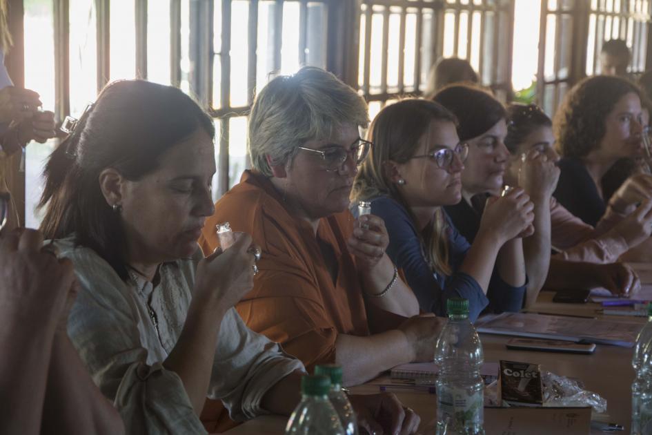 Dinámica con granos de café Dinámica con granos de café