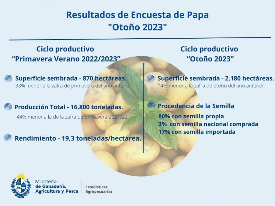 Papa '.'