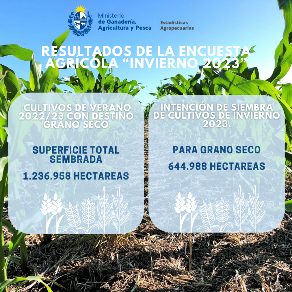 resultados encuesta agricola '.'