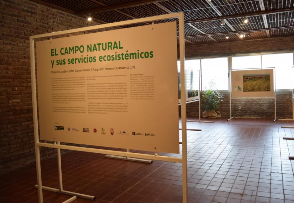 Muestra fotográfica “El campo Natural y sus servicios ecosistémicos"