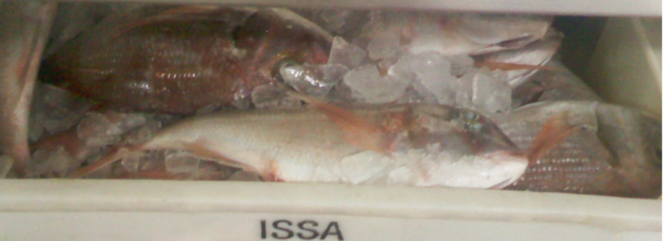 caja de pescado