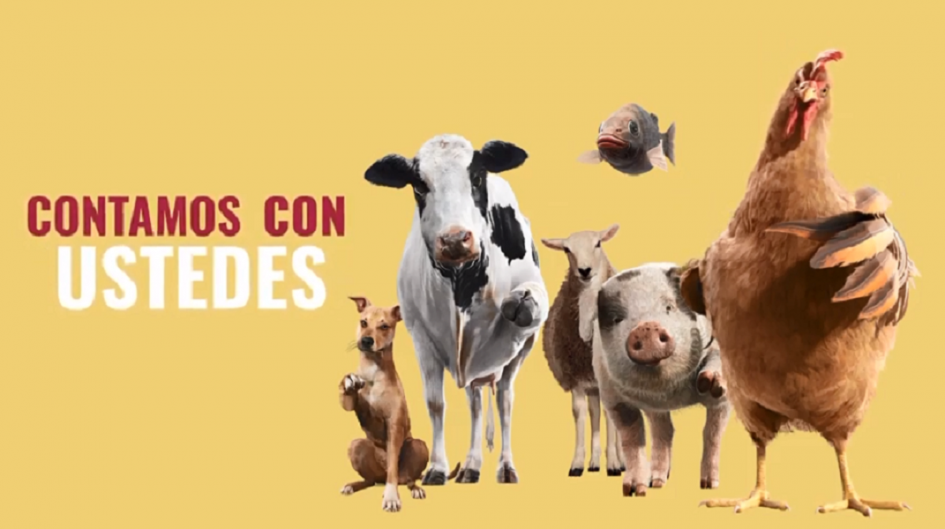Semana de concientización Semana de concientización