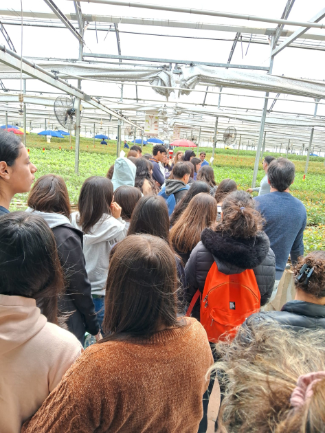 Proyecto Porteras Abiertas