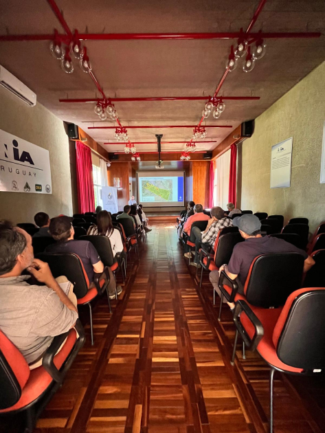 taller sobre bosque nativo taller sobre bosque nativo