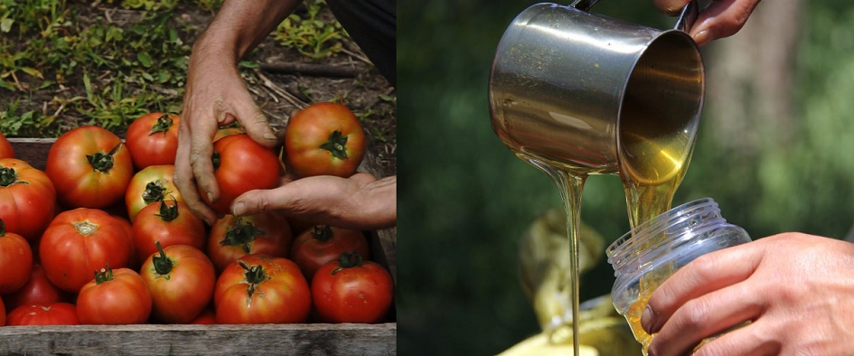 Tomates y miel Tomates y miel