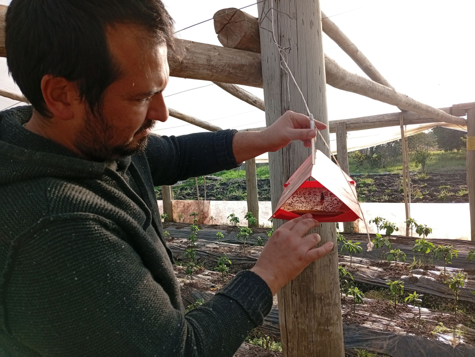 tecnico Pablo Haubman