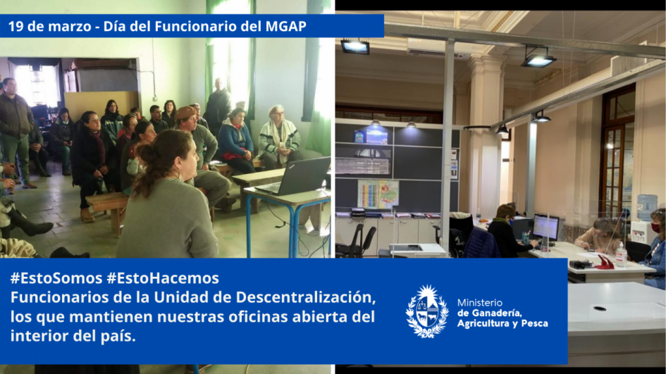 Funcionarios/as del MGAP en plena tarea Funcionarios/as del MGAP en plena tarea