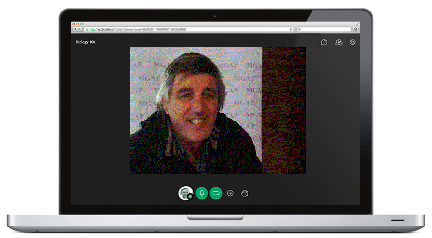 Reunion virtual Videoconferencia en Treinta y Tres
