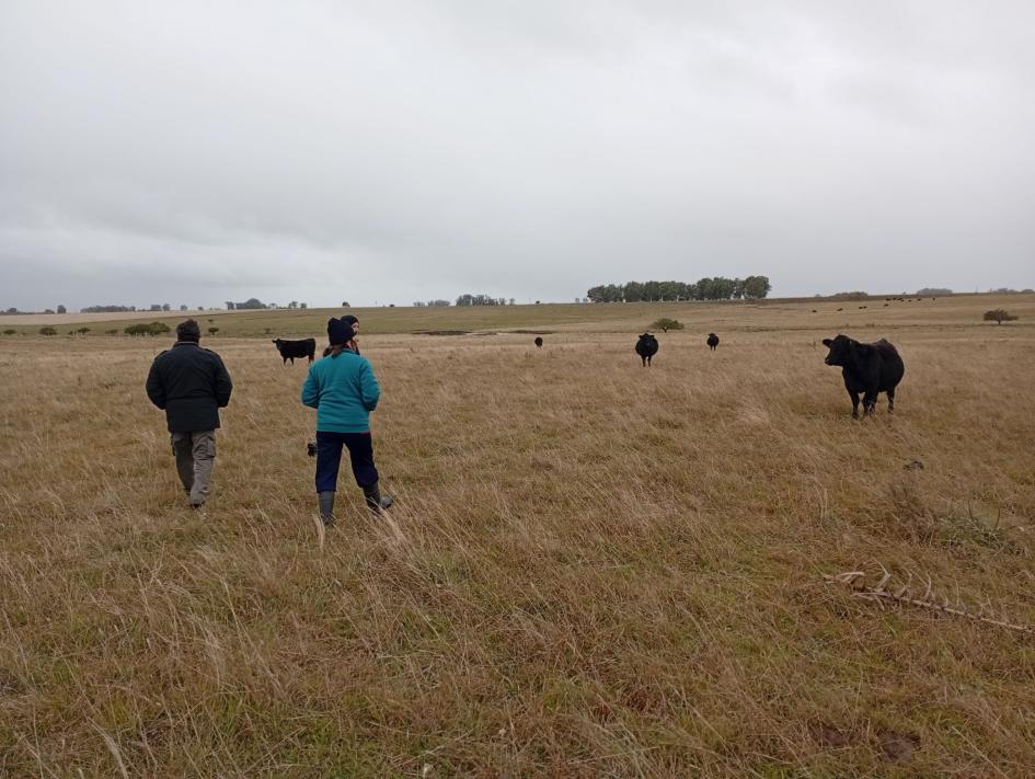 visita a predios ganaderos de Senda Agroecológica visita a predios ganaderos de Senda Agroecológica