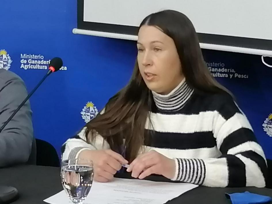 Representante del área de registro Representante del área de registro