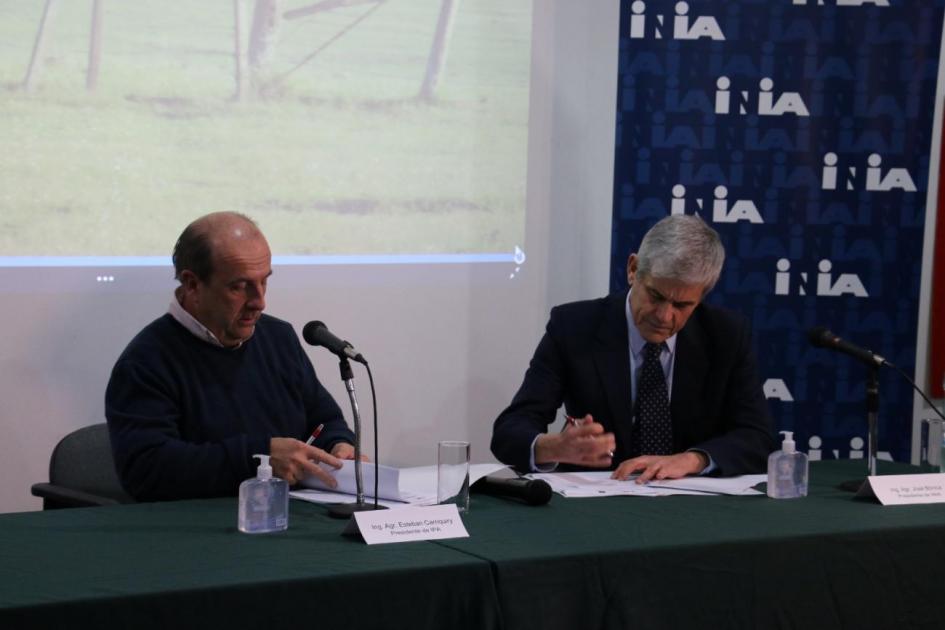 Firma del proyecto Firma del proyecto
