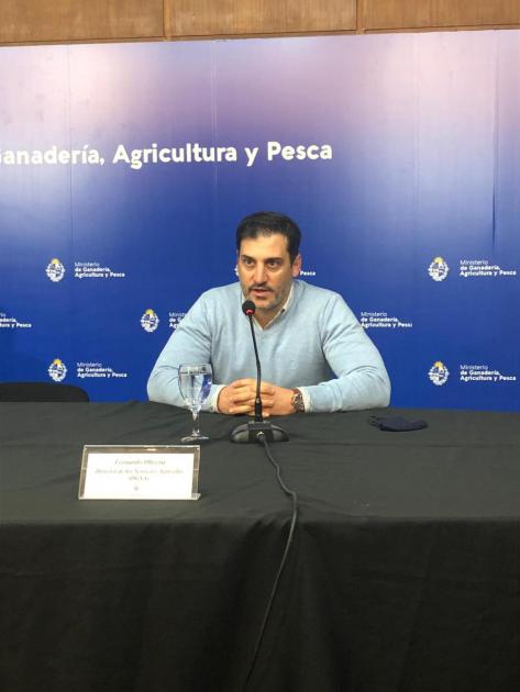 Director de los Servicios Agrícolas