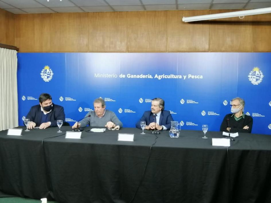 conferencia conferencia