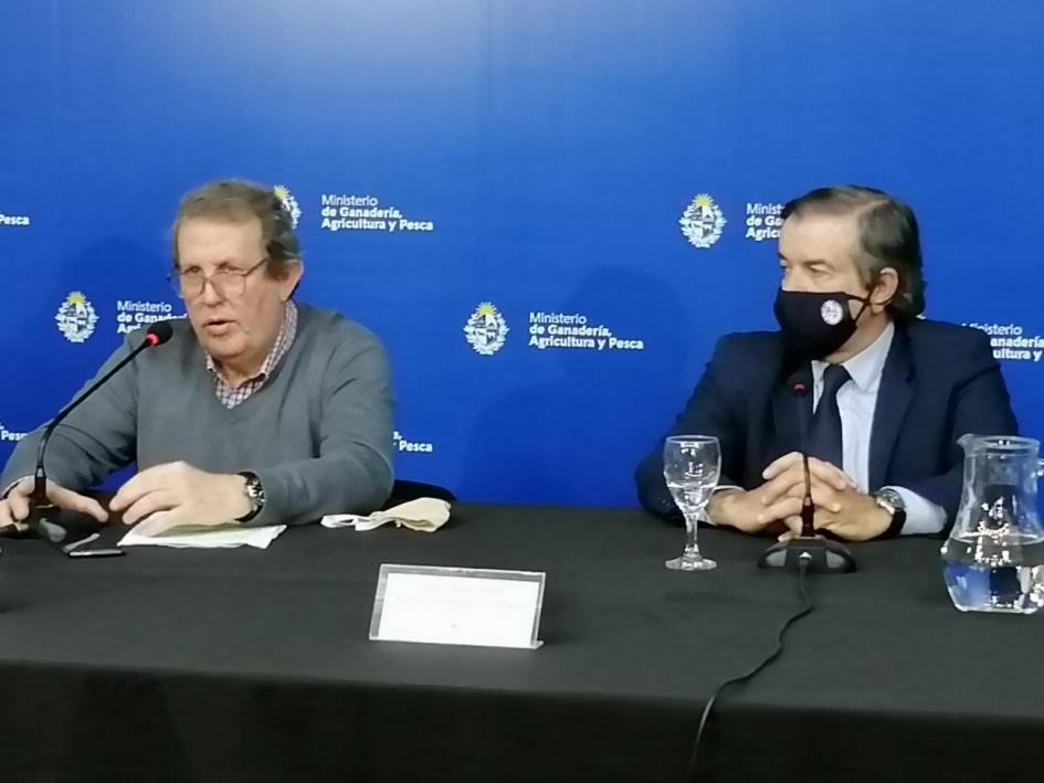 Osorio Osorio