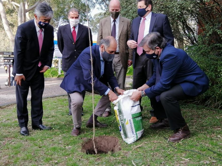 Plantación de un cerezo antesala de 100 años de relaciones