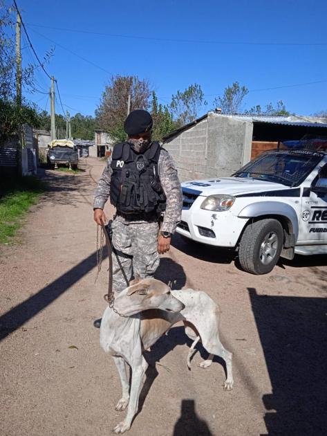 Operativo INBA Operativo INBA