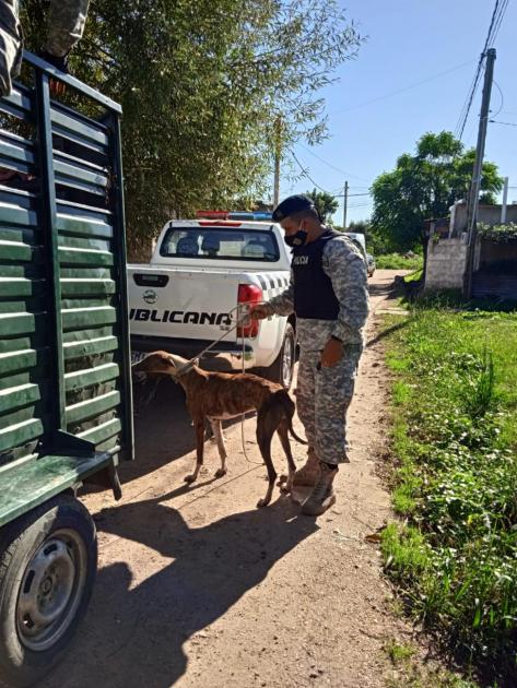 Operativo INBA Operativo INBA