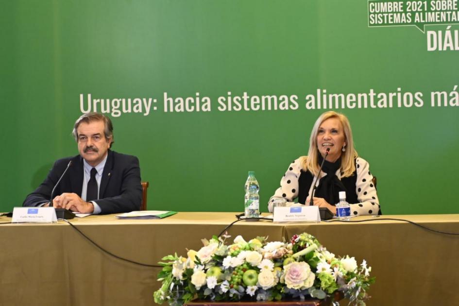 “Sistemas Alimentarios más Saludables, Sostenibles e Inclusivos” “Sistemas Alimentarios más Saludables, Sostenibles e Inclusivos”