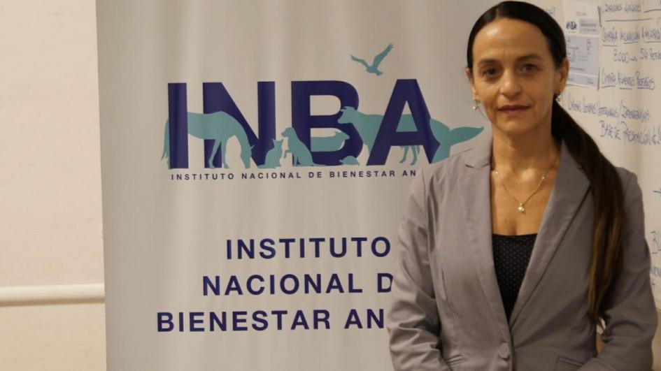 Primera sesión del Consejo Directivo del Instituto Nacional de Bienestar Animal Primera sesión del Consejo Directivo del Instituto Nacional de Bienestar Animal