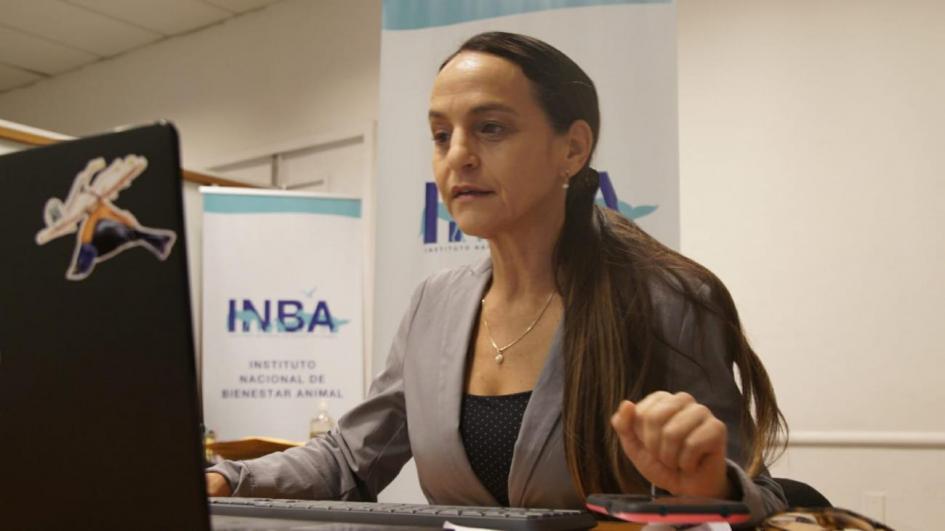 Primera sesión del Consejo Directivo del Instituto Nacional de Bienestar Animal Primera sesión del Consejo Directivo del Instituto Nacional de Bienestar Animal
