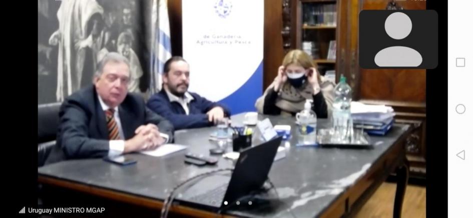 Junta Directiva del Instituto Nacional de Semillas Junta Directiva del Instituto Nacional de Semillas
